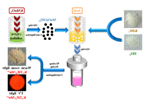 http://clyjhxxb.e4academia.net/__local/B/53/68/E01DB56E3ECB418D0D5E30E4DF7_CCA32BDF_3D2A7.png